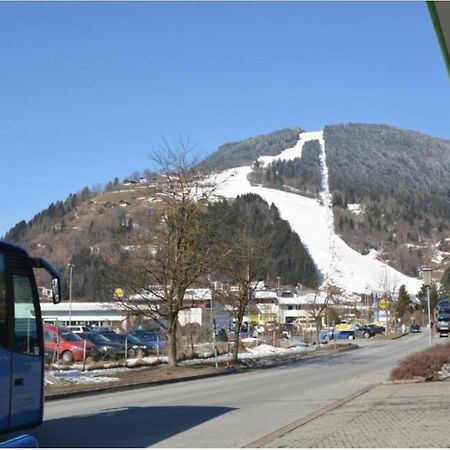 Alpine Lodge Apartment ツェル アム ゼー エクステリア 写真