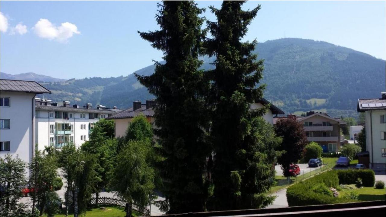Alpine Lodge Apartment ツェル アム ゼー エクステリア 写真